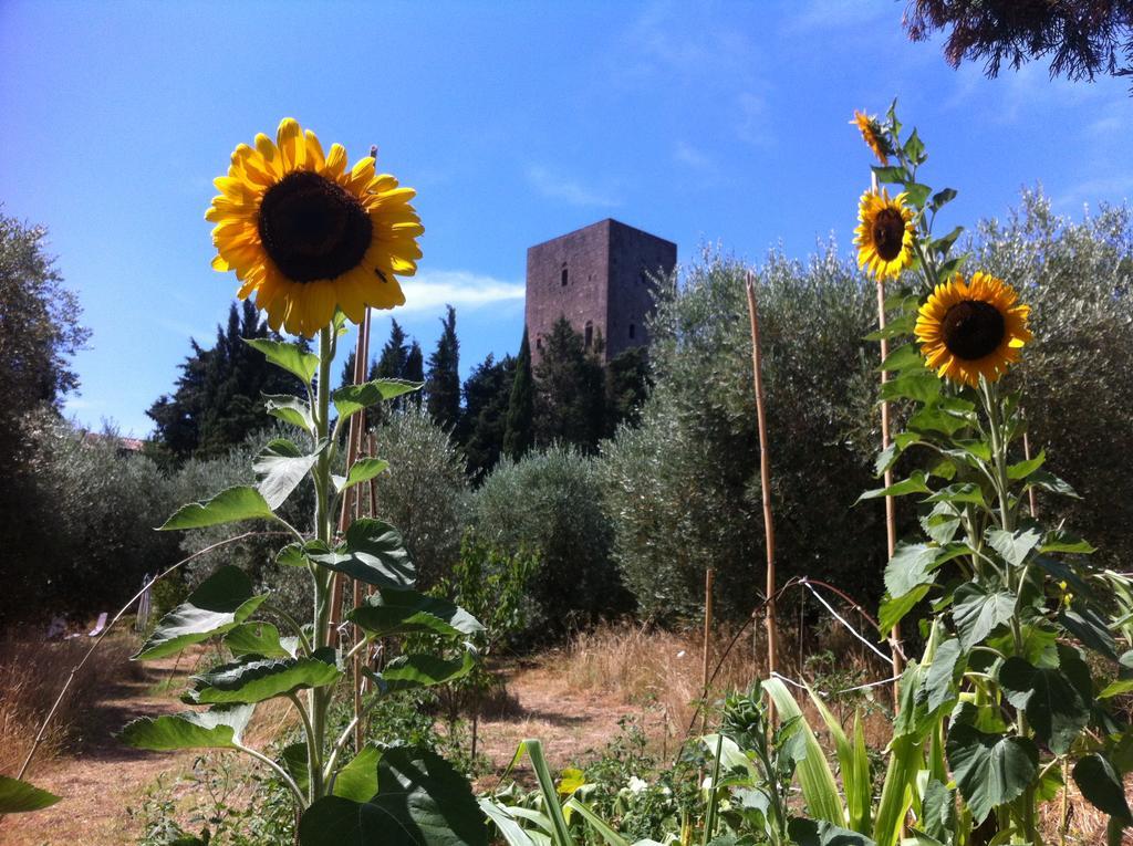 Torre Dei Belforti Montecatini Val di Cecina Exterior photo